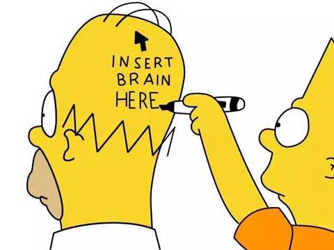 insert-brain
