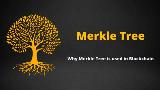 中心化交易所如何用Merkle Tree实现资产储备证明